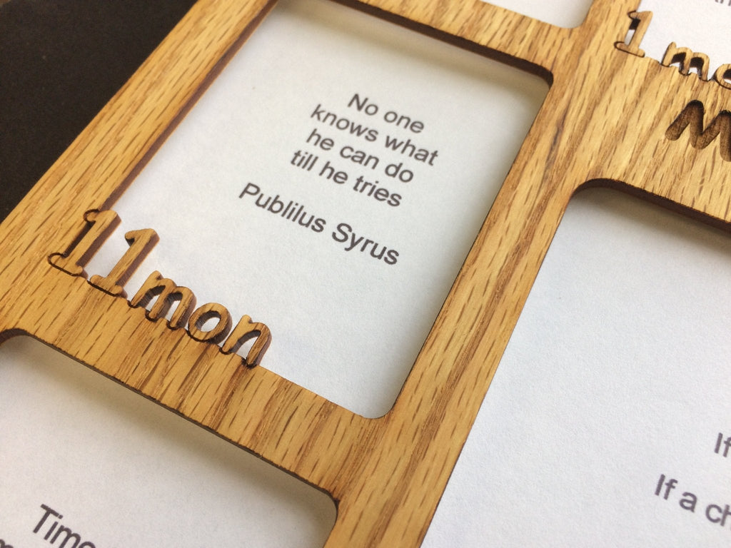 Baby First Year Picture Frame